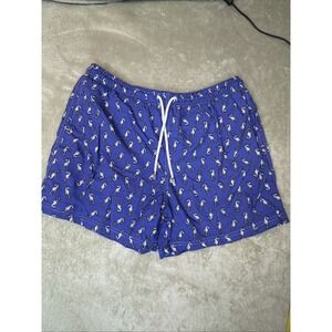 98 COAST AV. Boys white BLUE gray sea horse Swim suit 5" Trunks Elastic Waist XL